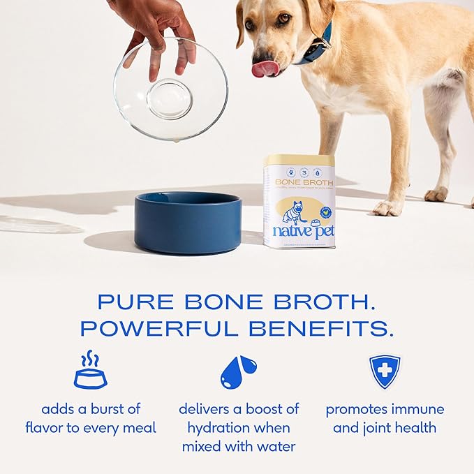 Native Pet Bone Broth for Dogs and Cats - Chicken Bone Broth Powder Dog Food Toppers for Picky Eaters - Provides Extra Nutrition for Joint Strength, Immune Support & Heart Health - 192 Scoops
