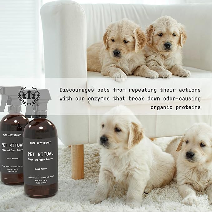 Muse Apothecary Complete Pet Stain and Odor Remover Enzyme Carpet Cleaner - Dog Stain Remover and Odor Neutralizer, Essential Oils Infused, Pet Stain Remover for Carpet - Pet Stain Carpet Cleaner 16oz