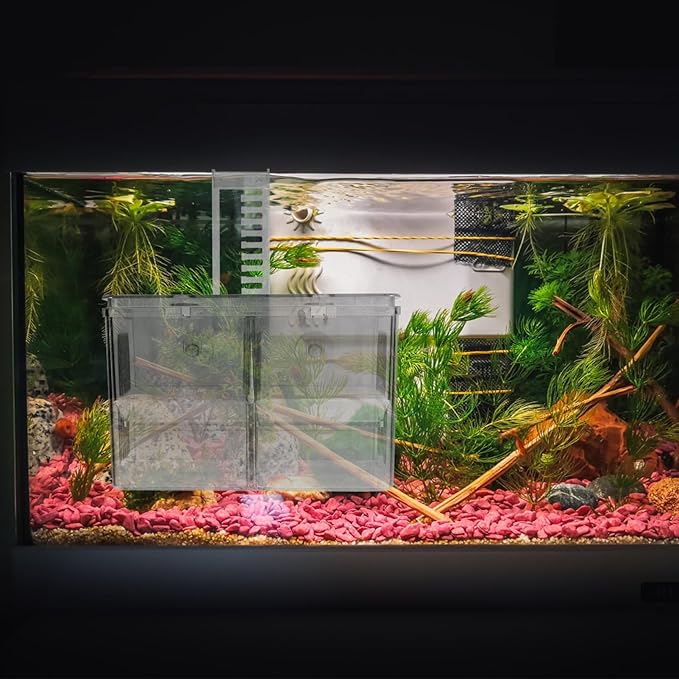 Kisangel Fish Breeding Style Incubator Tank for Tropical Fish Pe Material Aquarium Fry Isolation to Install