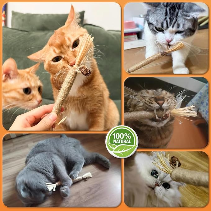 6Pcs Silvervine Sticks for Cats with Catnip Bag, Cat Chew Toys for Teeth Cleaning and Anxiety Relief, Natural Dental Care Kit for Indoor Cats & Kittens