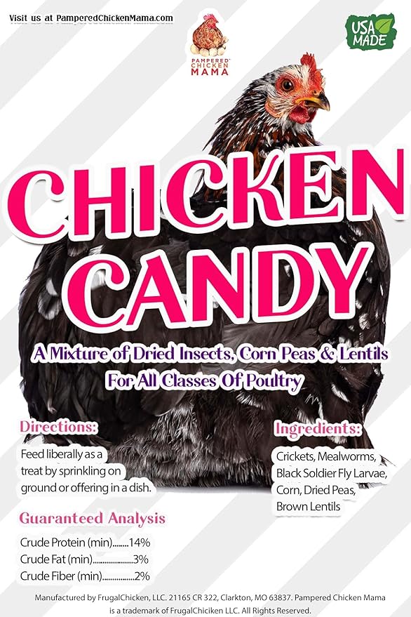 Pampered Chicken Mama Chicken Candy (16 Pounds): Chicken Treats for Hens for Chicken Feeder, Chicken Supplies, Chicken Food, Quail Food, Chicken Scratch, Mealworms, Crickets, Feed Corn, Peas, & More