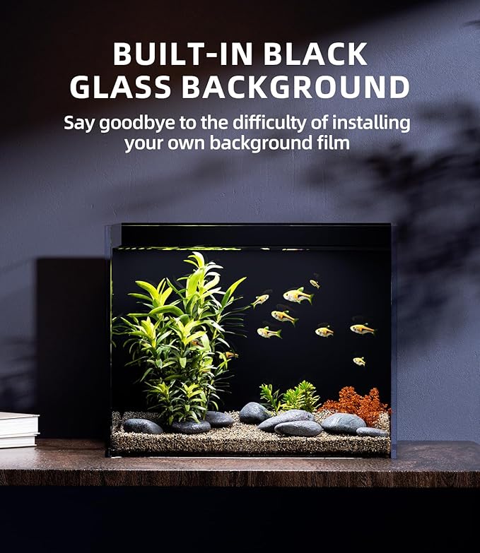 3 Gallon Glass Fish Tank Ultra Clear Rimless Aquarium, Built-in Black Background Rectangular Tank