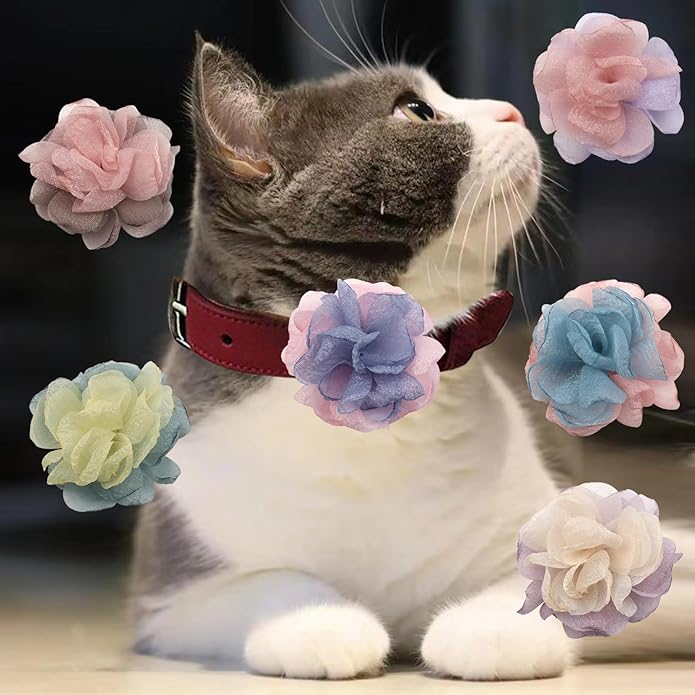 6Pcs Dog Collar Accessories, Floral Charms Decorations for Cats and Dogs