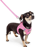 rabbitgoo Dog Harness Small Sized and Leash Set, Step in Soft Light Puppy Vest, Breathable Mesh Pet Harness, Reflective for Safe Easy Walking, Light Pink XXXS