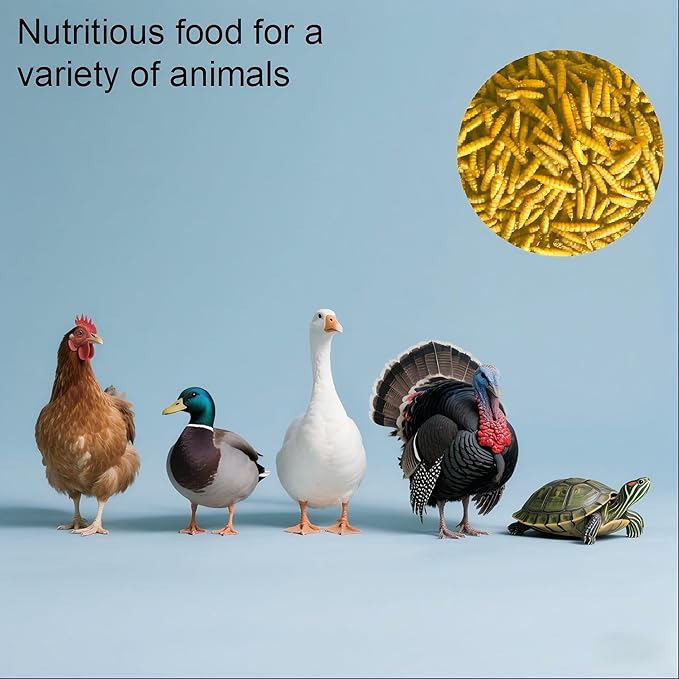 All Natural Dried BSF Larvae for Chickens,Black Soldier Fly Larvae 10 lb Chicken Worms Treats, More Calcium Than Mealworms,High Protein Poultry Feed