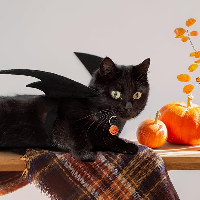 Cat Halloween Costume, Cat Costumes, Small Dog Halloween Costumes - Bat Wing with Pumpkin Bell for Pet Halloween Cosplay Party Dress Up Accessories (Medium)