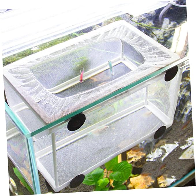 Large Fish Breeding Net with Suction Cups Hatchery Box for Fry Isolation Aquarium Divider Mesh Fish Breeding Divider for Tank Use