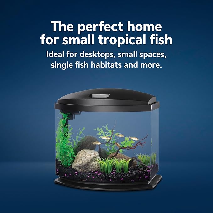 Aqueon LED MiniBow Small Aquarium Fish Tank Kit with SmartClean Technology, Black, 5 Gallon
