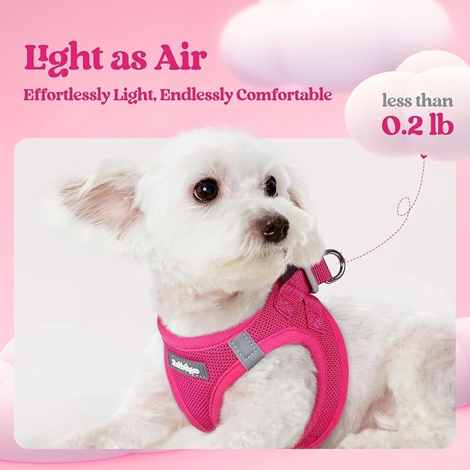 rabbitgoo Dog Harness Small Medium Sized and Leash Set, Step in Soft Light Puppy Vest, Breathable Mesh Pet Harness, Reflective for Safe Easy Walking, Rose Red L