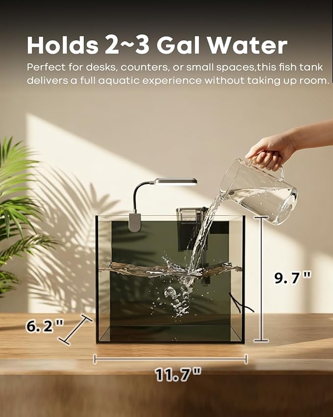 3 Gallon Small Fish Tank Glass Aquarium Set, Starter Kit with Heater Water Pump Cleaning Filter Bright Light Rocks Gravel Cleaning Tool, Leak-Proof Clear Rimless Desktop Spaces Saving Betta Fish