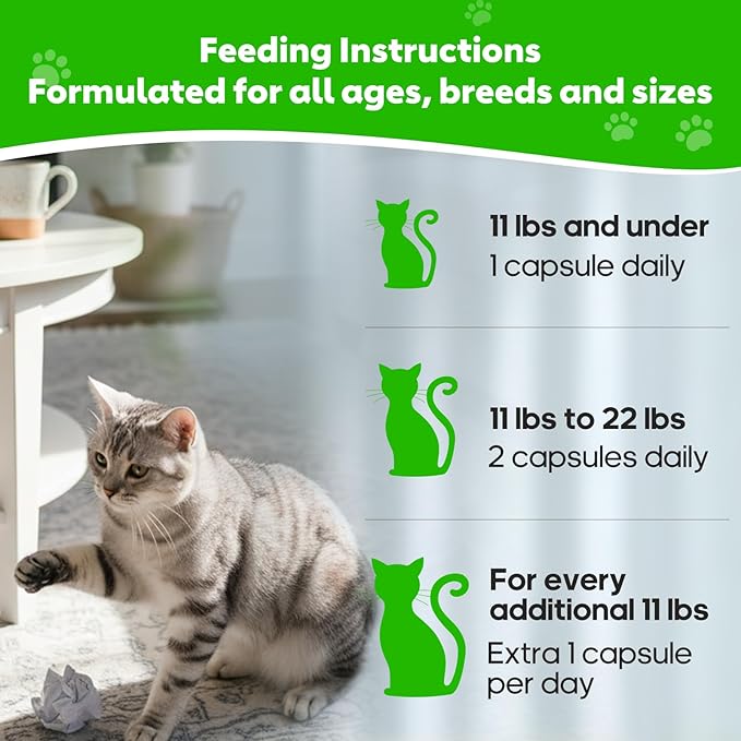 Hairball Relief for Cats, Cat Hairball Remedy, Cat Hairballs Control with Psyllium Seed Husk and Vitamins, Helps Eliminate & Prevent Hairballs, Supports Healthy Digestion & Coat, 100 Capsules