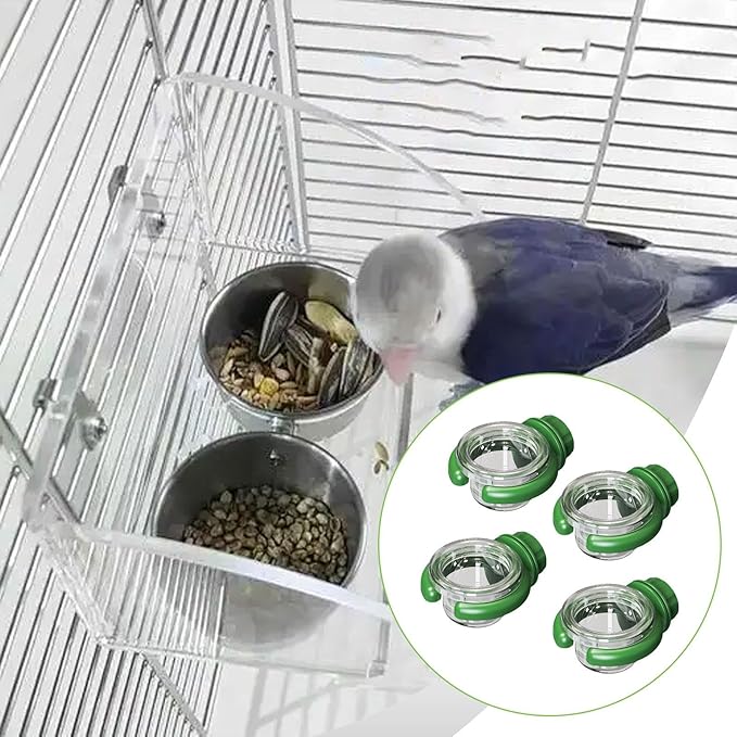 MYCENSE 4X Bird Water Feeder Accessory Sturdy Yard Transparent for Outside Multifunctional Hanging Gifts Food Container Decoration, Green
