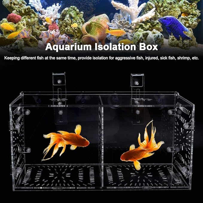 Fish Tank Breeding Box Acrylic Isolation Incubation, Adjustable Height, Transparent - Durable Material, Stable Attachment, Ideal for Aggressive and Sick Fish (30CM*15CM*15CM)