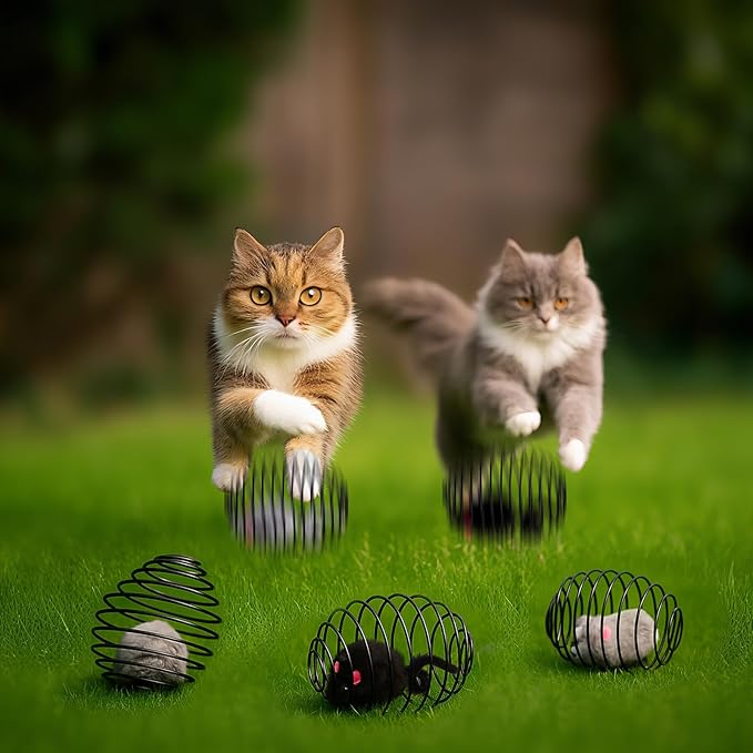 Jecery 5 Pcs Cat Spring Balls Toys Stretchable Rolling Balls Colorful Playful Coils Interactive Action Toy Caged Rats for Kitten Pet Supplies (Mouse,Black)