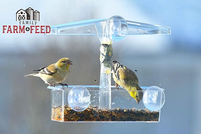 | Four Season | City Blend | Fancy Wild Bird Food | Backyard Songbird| 4 Pounds