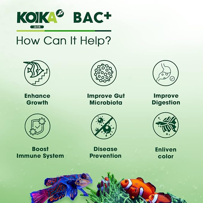 KOIKA BAC+ Aquarium Probiotics Powder, Improves Water Conditions for Fish and Shrimp, Supports Clean Water and Tank Balance, for Aquatic Use Only (BAC+(Powder), 2.82 oz)