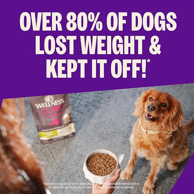 Wellness CORE Healthy Weight Small Breed Adult Dry Dog Food, Grain Free Kibble, Natural, High Protein, Turkey and Chicken Recipe, 4 lb Bag
