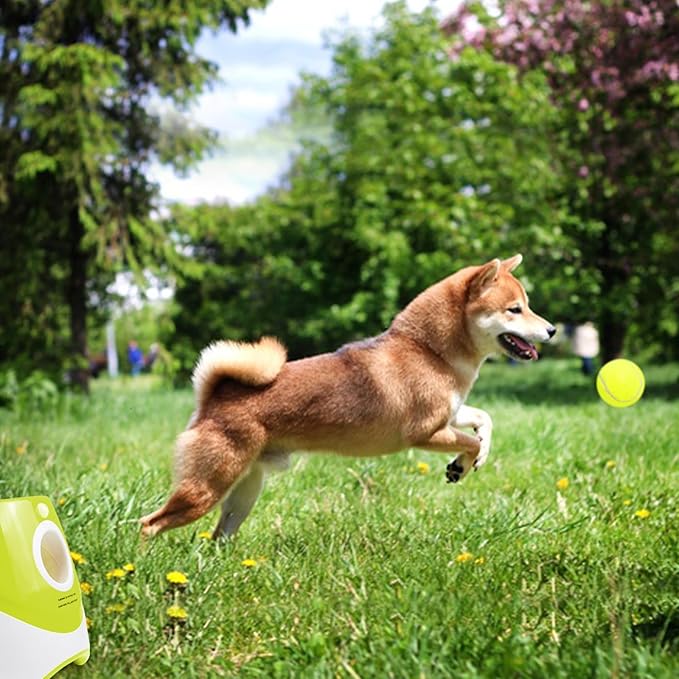 Tennis Balls for Dogs, 12 Packs 2-inch Interactive Mini Dog Balls Designed for Automatic Ball launchers and Small to Medium Dogs Indoor Outdoor Thrower Machine