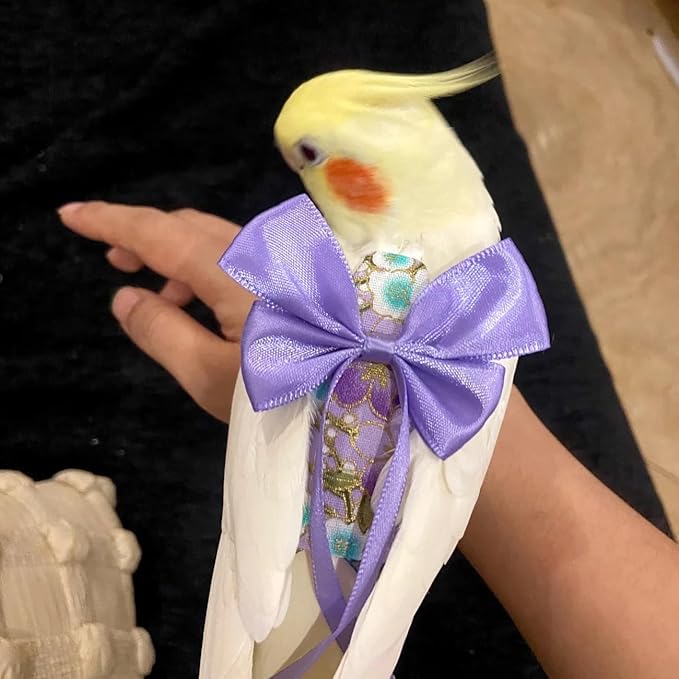 2 Pcs Bird Diapers Bird Harness Flight Suits Diapers with 80in Flying Leash Reusable Parrot Nappy with Waterproof Inner Layer for Cockatiel Budgie Conure Parakeet Lovebird-Red&Purple Sakura