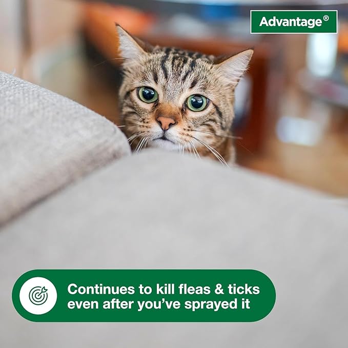 Bundle of Advantage Topical Cat Flea Treatment and Prevention for Large Cats Over 9 lbs. + Advantage Carpet & Upholstery Spot Spray 16 oz.