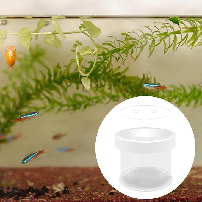 Fish Breeder Box Fish Tank Hatchery Floating Acrylic Transparent Fine Mesh Bottom Isolation Box Incubator for Baby Fish Betta, 8cmx10cm