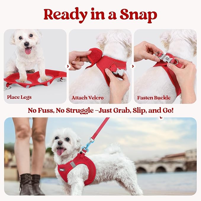 rabbitgoo Dog Harness Small Sized and Leash Set, Step in Soft Light Puppy Vest, Breathable Mesh Pet Harness, Reflective for Safe Easy Walking, Red XS