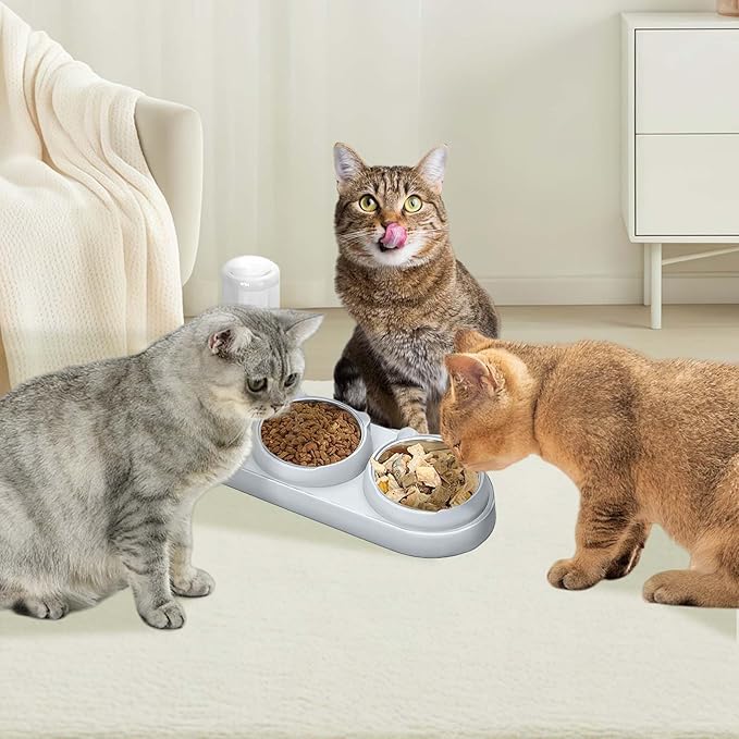 Marchul 3 in 1 Cat Bowl, Cat Food and Water Bowl Set with Water Dispenser and Stainless Steel Bowls, 15° Tilted Pet Raised Three Bowls for Indoor Cats, Small or Medium Sized Dogs，(Light Gray)
