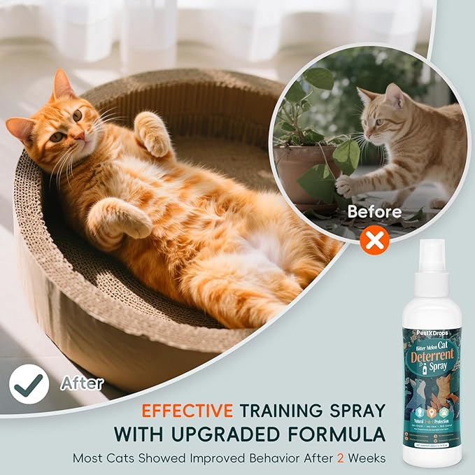 Natural Cat Deterrent Spray, Cat Repellent Spray for Indoor Use, Safely Stops Furniture Scratching, Urine Marking, Pee Everywhere, Plant Chewing, Cat Training Spray for Sofa, Rugs, Chairs, 200ml