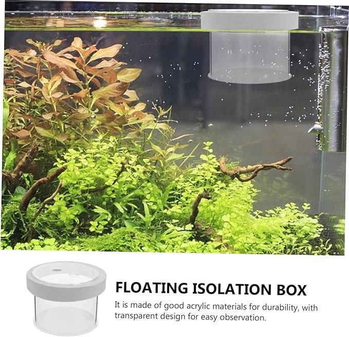 BESPORTBLE Floating Fish Tank Isolation Box Durable Acrylic Aquarium Breeding Box for Fish with Design for Guppy Shrimp Clownfish for Fish Enthusiasts