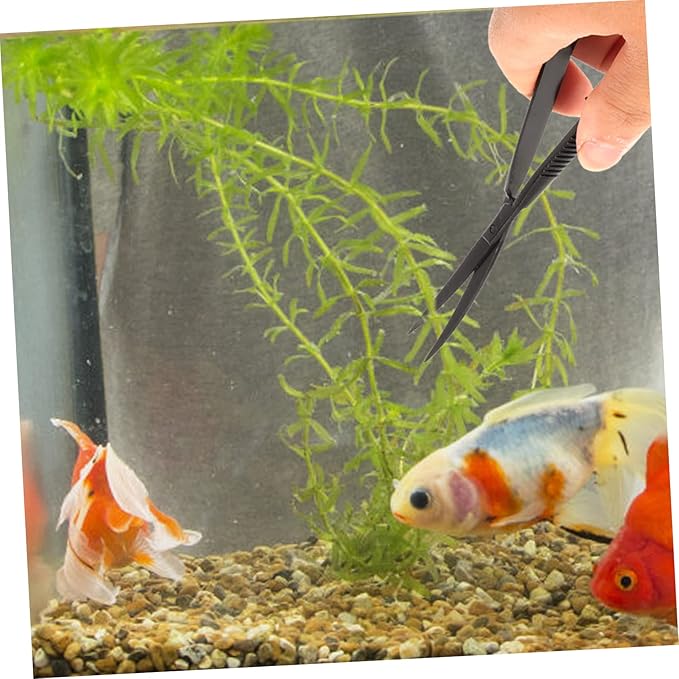 Mipcase 2pcs Home Terrarium Scissors Aquatic Plant Trimmer for Aquariums Resistant Spring Scissors for Easy Plant Maintenance for Tanks