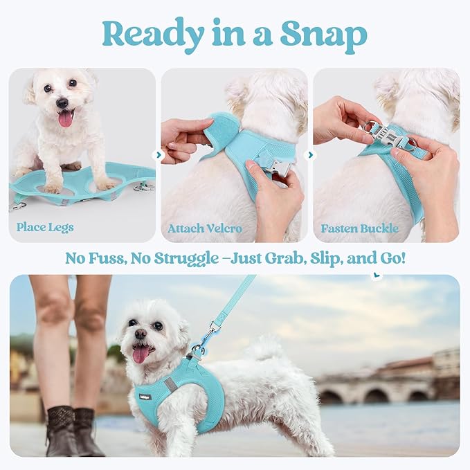 rabbitgoo Dog Harness Small Sized and Leash Set, Step in Soft Light Puppy Vest, Breathable Mesh Pet Harness, Reflective for Safe Easy Walking, Mint Blue S