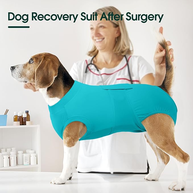 Kuoser Dog Recovery Suit for Dogs After Surgery, Soft Surgical Onesie for Female Male Dogs Spay Neuter, Anti-Licking Pet Bodysuit for Abdominal Wounds, Skin Disease, E-Collar Alternative, Lakeblue XS