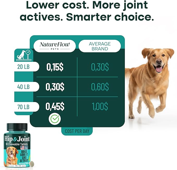 Natureflow Hip and Joint Supplement for Dogs, Arthritis Dog Joint Supplement with Green-Lipped Mussel, Glucosamine, MSM & Chondroitin, Zero Sugar Chewable Pills, Made in USA, Large Medium Small Breeds