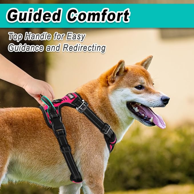 BARKBAY Dog Harness No Pull 3 Buckles for Small Dogs - Adjustable, Reflective, Comfortable, No Choke, Heavy-Duty - Perfect for Outdoor Training, Walking, and Hiking - Strong & Durable - S & Pink