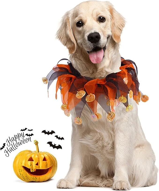 Dog Halloween Costume - Pet Collar Tutu for Small Medium Dogs - Orange St Halloween Day Pet Costume