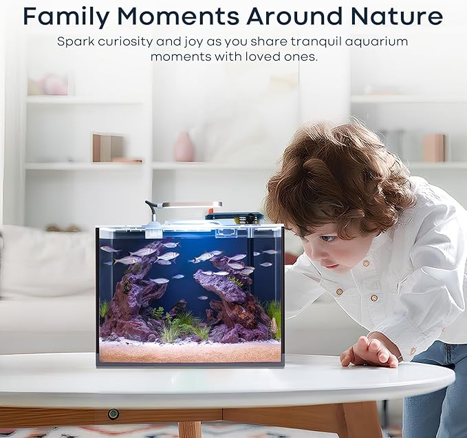2.6 Gallon Small Aquarium Set Glass Fish Tank, Starter Kit with Heater Water Pump Cleaning System Filter Bright Light Rocks Gravel Cleaning Tool, Leak-Proof Clear Rimless Desktop Spaces Saving Betta