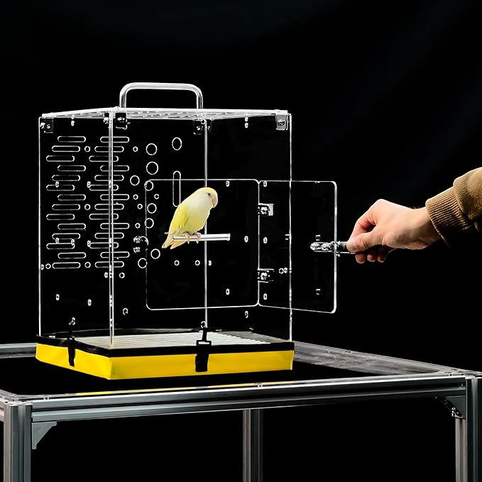 GuineaLoft™ Acrylic Bird Cage Model-ETO, Crystal Clear, 360° Panoramic View, Portable & Easy Clean Design with Canvas Bottom- Visit The GuineaLoft Store