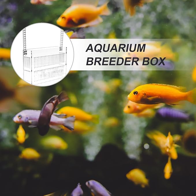 Fish Breeding Box for Aquariums Lightweight Isolated Breeder Tank Viewing for Guppies and Newborns Easy to Install Hanging Design
