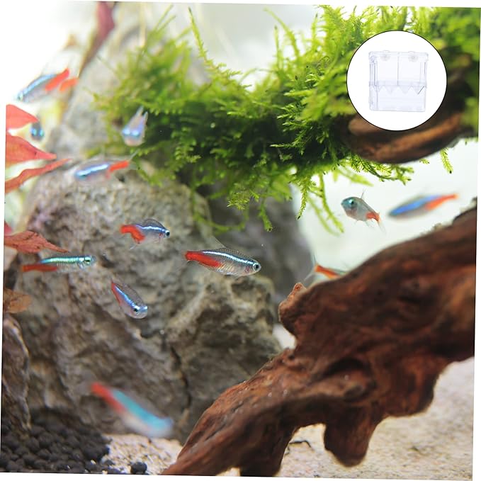 Breeding Tank Transparent Aquarium Box Cup Isolation Hatchery for Fish for Betta Guppy Fish Survival Water Cracks Easy Installation Observation