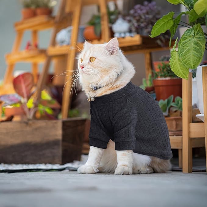 Idepet Sphynx Hairless Cats Sweater Shirt Kitten Soft Puppy Clothes Pullover Cute Cat Pajamas Jumpsuit Cotton Apparel Pet Winter Turtleneck for Cats and Teacup Chihuahua Small Dogs(Black,S)