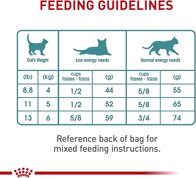 Royal Canin Feline Care Nutrition Hairball Care Adult Dry Cat Food, 6 lb Bag