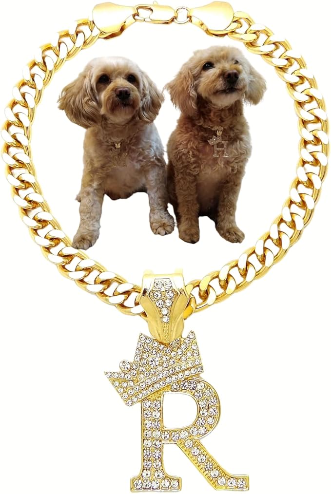 Initial Letter Cuban Chain Dog Chain Pet Chain Pet, Cat, Puppy Necklace (R, 30")