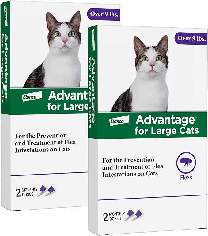 Advantage Topical Cat Flea Treatment and Prevention for Large Cats Over 9 lbs. | Apply Flea Drops Monthly | 2 Treatments (Pack of 2)