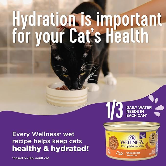 Wellness Complete Health Gravy and Minced Adult Wet Cat Food, Natural, Protein-Rich, Grain-Free, 3 Ounce, 12 Pack, (Chicken & Turkey Lovers Variety Pack)