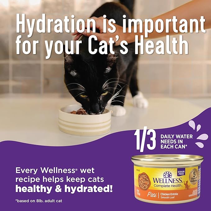 Wellness Complete Health Pate Adult Wet Cat Food, Natural, Protein-Rich, Grain Free, 3 Ounce, 24 Pack, (Beef & Chicken)