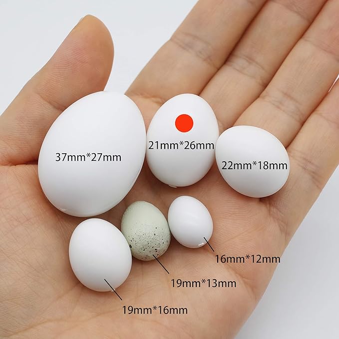 FOIBURELY 8 Pcs Solid Parrot Plastic Eggs Hatching Eggs Green Cheek, Lorikeet&Ringneck Dove, Quaker, Cockatiel. Trick The Birds to Stop Laying Eggs, Plastic Eggs