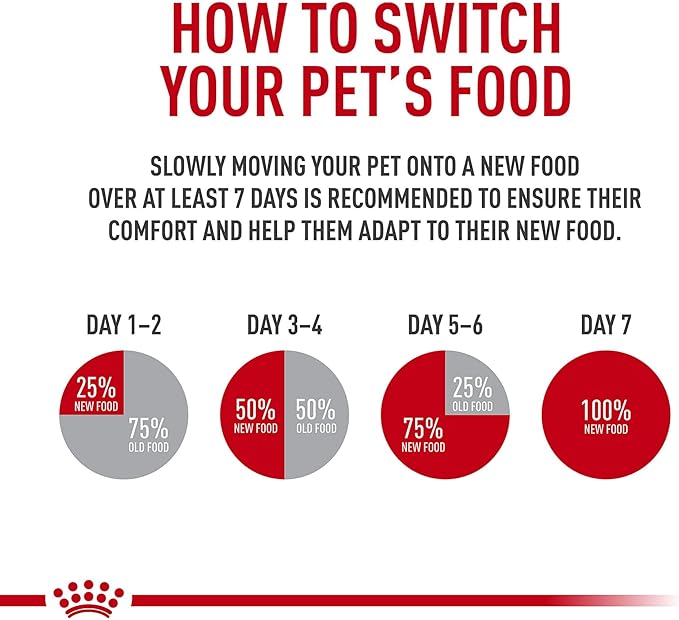 Royal Canin Feline Care Nutrition Digestive Care Adult Thin Slices in Gravy Cat Food, 3 oz (Pack of 6)