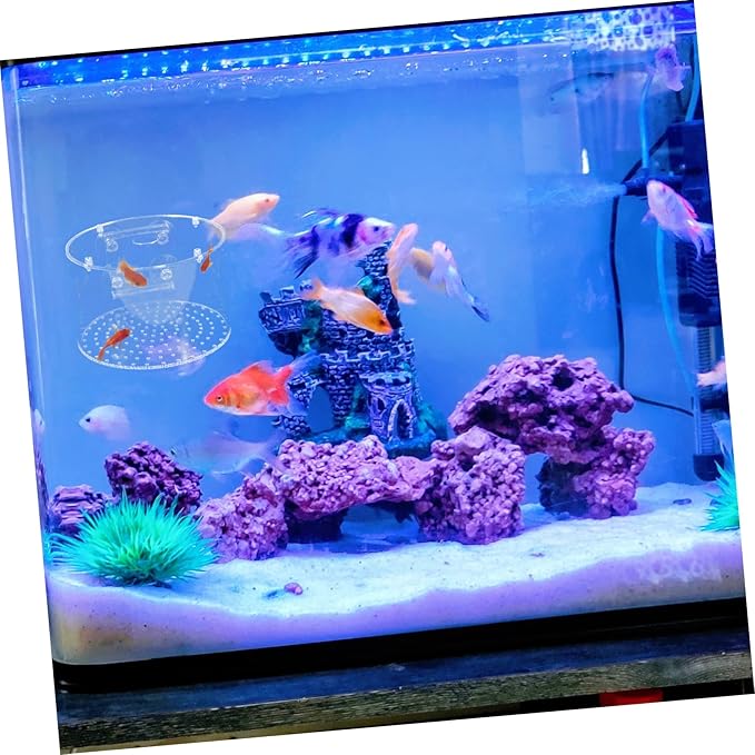 Yardwe Fish Breeding Box for Betta and Shrimp Lightweight Isolation Tank Protective Divider for Newborns and Pregnant Fish Aquarium Accessory
