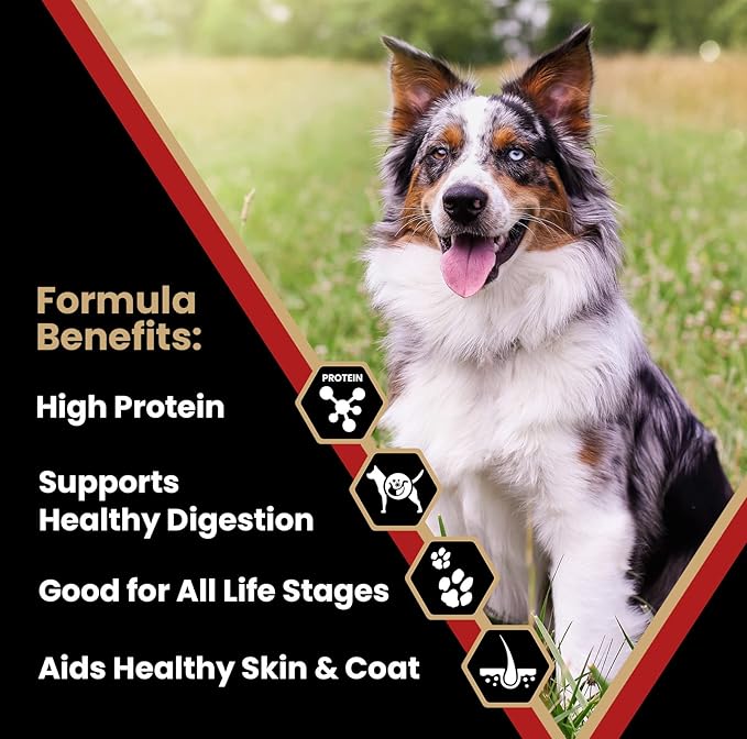 VICTOR Super Premium Dog Food – Purpose Nutra Pro – Gluten-Free, High Protein Low Carb Dry Kibble for Active Dogs of All Ages – Ideal for Sporting, Pregnant or Nursing Dogs & Puppies, 5lbs