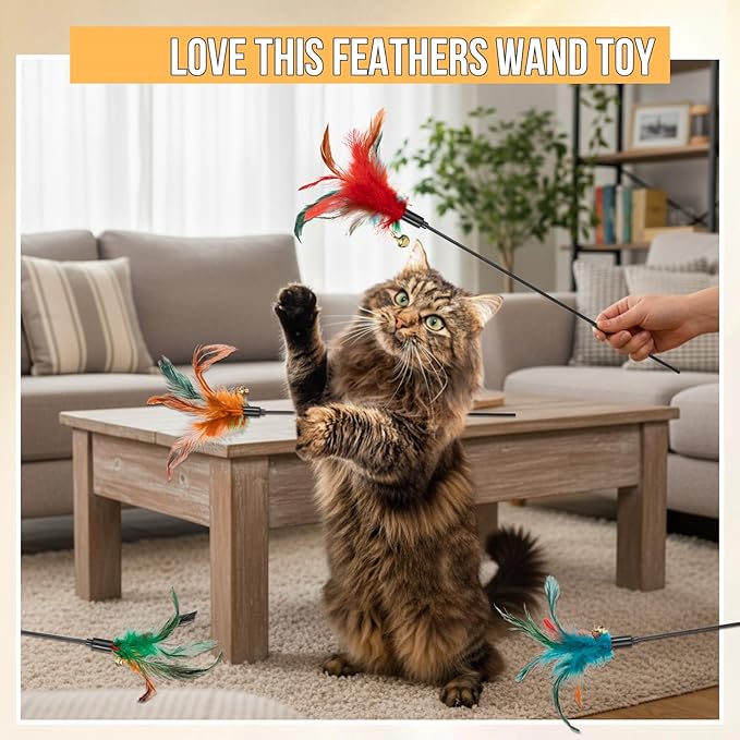 Leitee 50 Pcs Cat Wand Toy Feather Stick Cat Toy Feather Toys and Teaser Wand Bulk Interactive Stick for Indoor (Multi-Color)